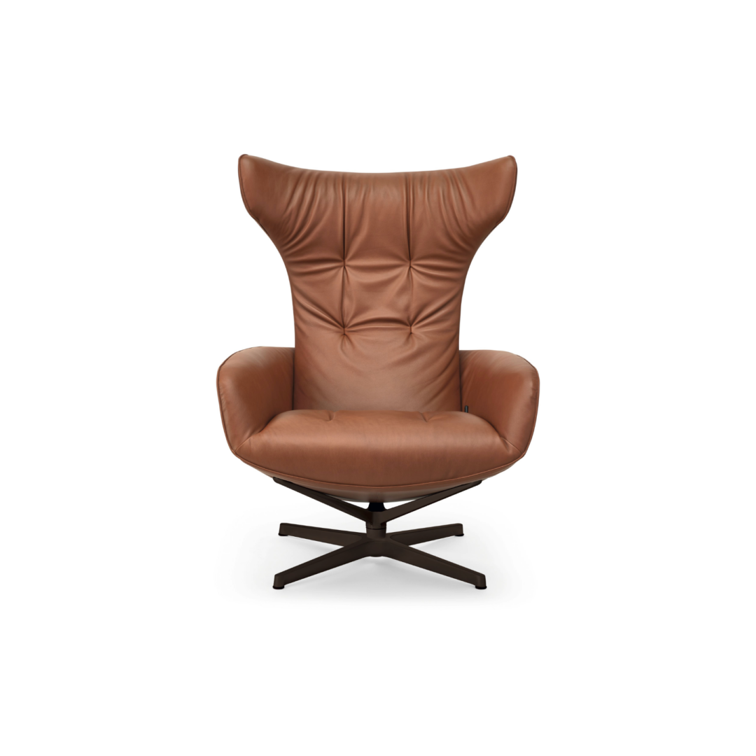 Onsa Lounge Chair Image